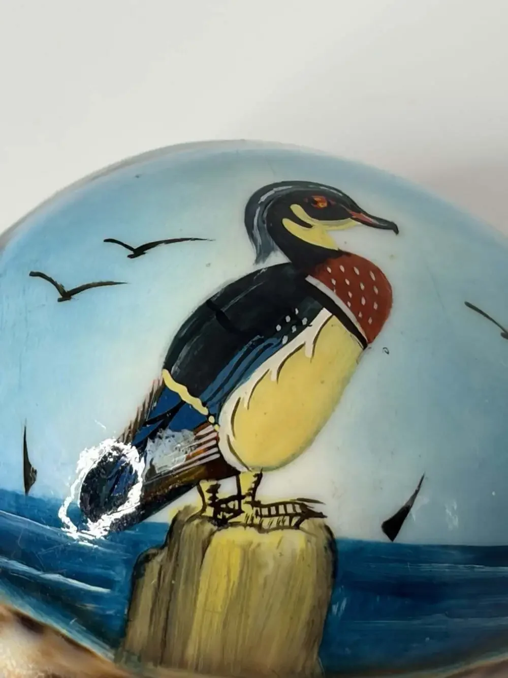 Vintage Hand painted Tiger Cowrie Shell W/ Birds 3”x2”x2”